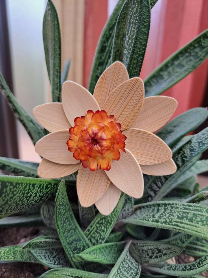Magnet fleur eternelle